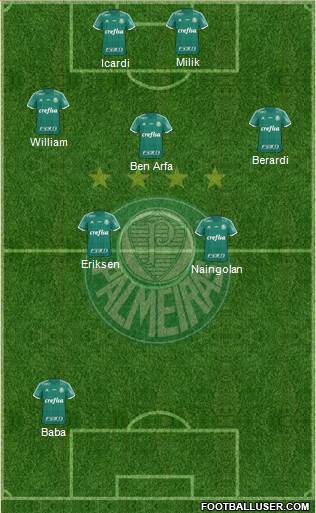 SE Palmeiras Formation 2016