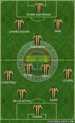 Fenerbahçe SK Formation 2016