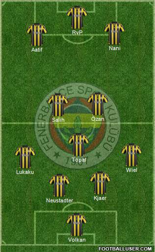 Fenerbahçe SK Formation 2016