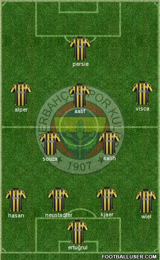 Fenerbahçe SK Formation 2016