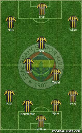 Fenerbahçe SK Formation 2016