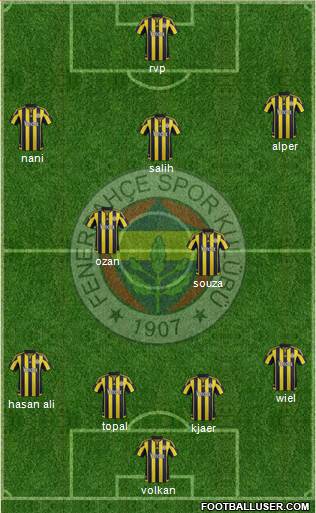Fenerbahçe SK Formation 2016