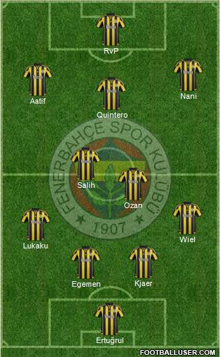 Fenerbahçe SK Formation 2016
