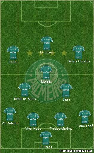 SE Palmeiras Formation 2016