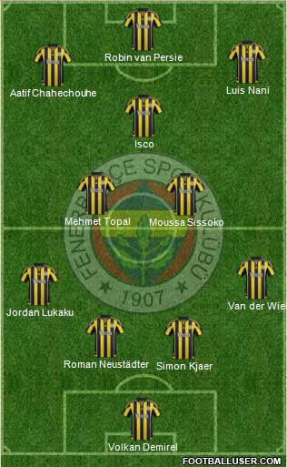 Fenerbahçe SK Formation 2016
