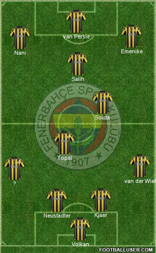 Fenerbahçe SK Formation 2016