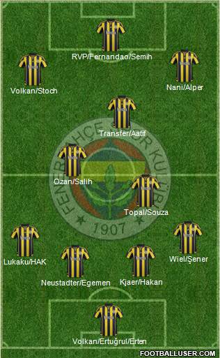 Fenerbahçe SK Formation 2016
