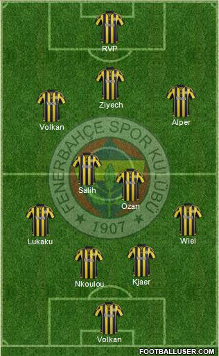 Fenerbahçe SK Formation 2016