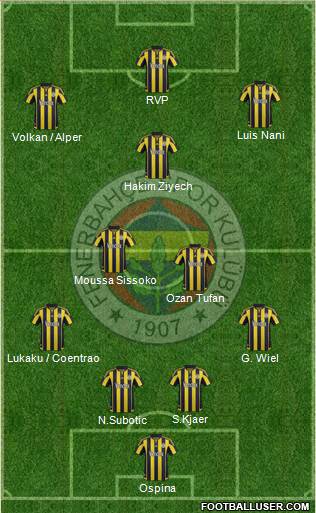 Fenerbahçe SK Formation 2016