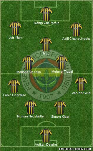 Fenerbahçe SK Formation 2016