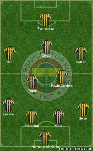 Fenerbahçe SK Formation 2016