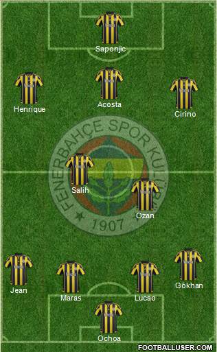 Fenerbahçe SK Formation 2016