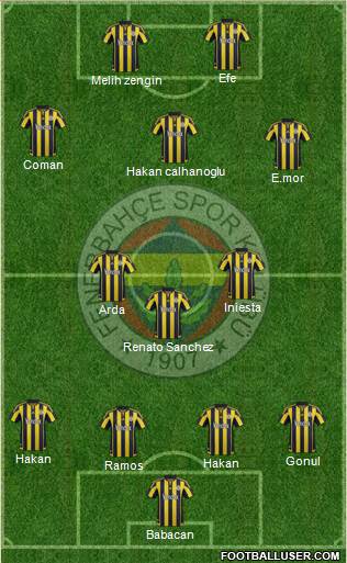 Fenerbahçe SK Formation 2016