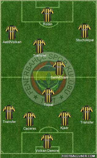 Fenerbahçe SK Formation 2016