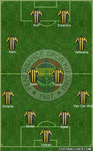 Fenerbahçe SK Formation 2016