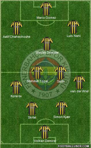 Fenerbahçe SK Formation 2016