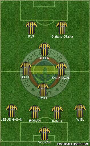 Fenerbahçe SK Formation 2016