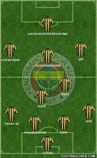 Fenerbahçe SK Formation 2016