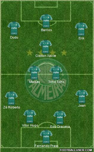 SE Palmeiras Formation 2016