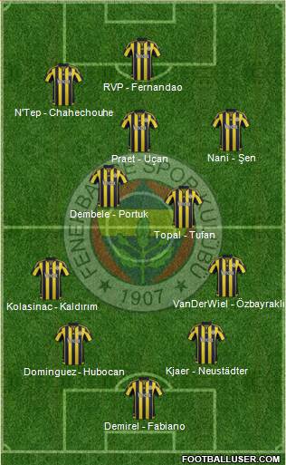 Fenerbahçe SK Formation 2016