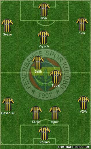 Fenerbahçe SK Formation 2016