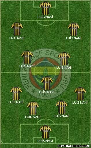 Fenerbahçe SK Formation 2016