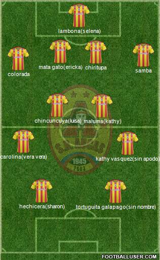 SD Aucas Formation 2016