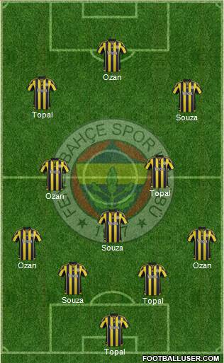 Fenerbahçe SK Formation 2016