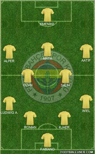 Fenerbahçe SK Formation 2016