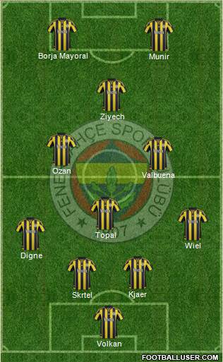 Fenerbahçe SK Formation 2016