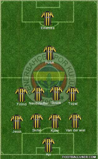 Fenerbahçe SK Formation 2016