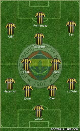 Fenerbahçe SK Formation 2016