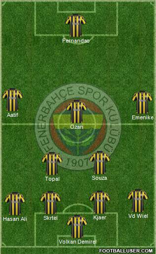 Fenerbahçe SK Formation 2016