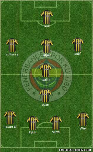 Fenerbahçe SK Formation 2016