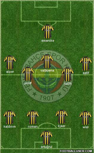 Fenerbahçe SK Formation 2016