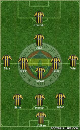 Fenerbahçe SK Formation 2016