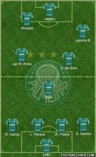 SE Palmeiras Formation 2016
