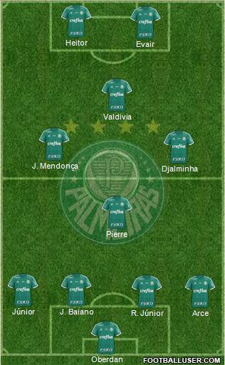 SE Palmeiras Formation 2016
