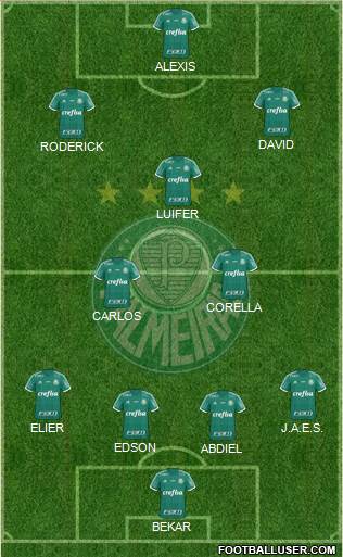 SE Palmeiras Formation 2016