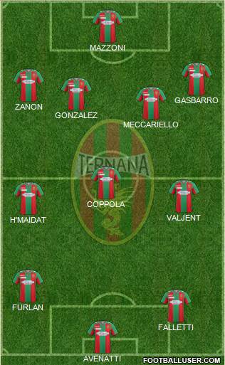 Ternana Formation 2016