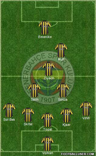 Fenerbahçe SK Formation 2016