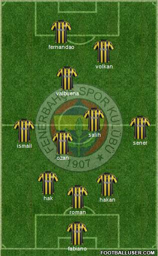 Fenerbahçe SK Formation 2016