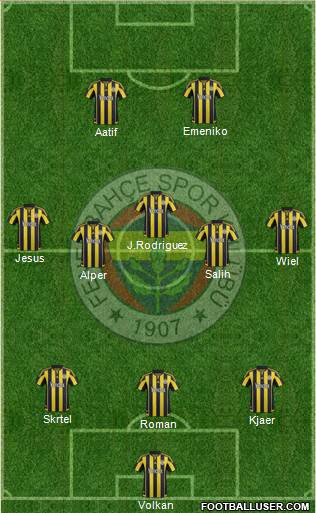 Fenerbahçe SK Formation 2016