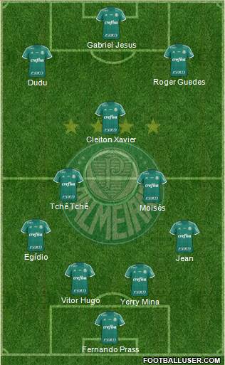 SE Palmeiras Formation 2016