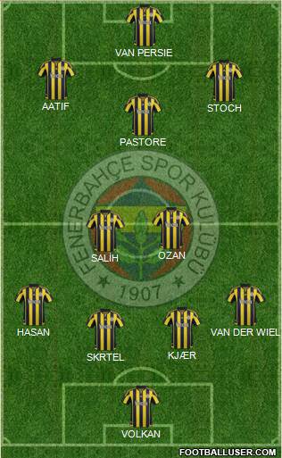 Fenerbahçe SK Formation 2016