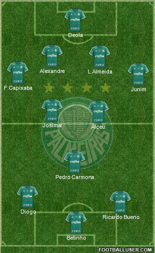 SE Palmeiras Formation 2016