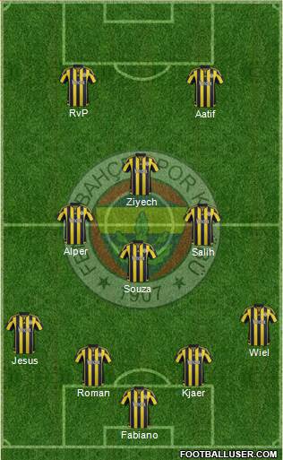 Fenerbahçe SK Formation 2016