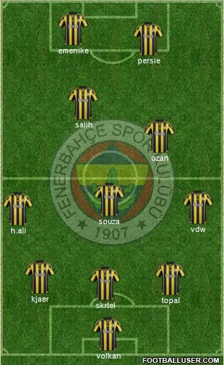 Fenerbahçe SK Formation 2016