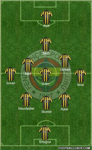 Fenerbahçe SK Formation 2016