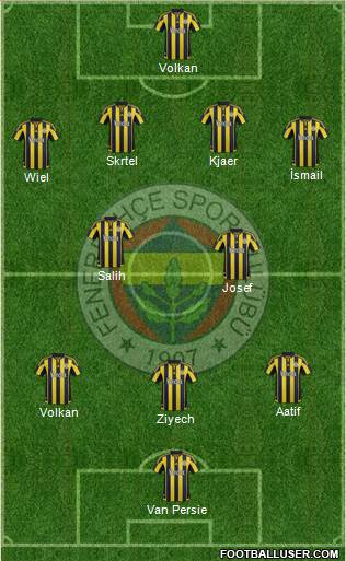 Fenerbahçe SK Formation 2016